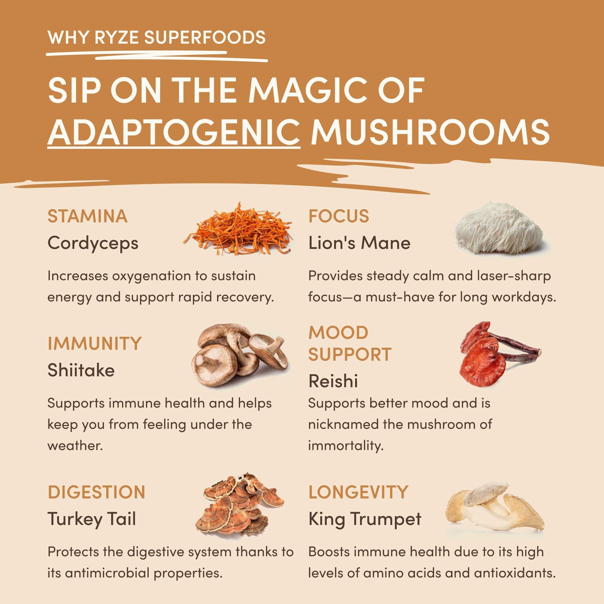 Mushroom Overnight Oats (14 Servings) - Focus Support