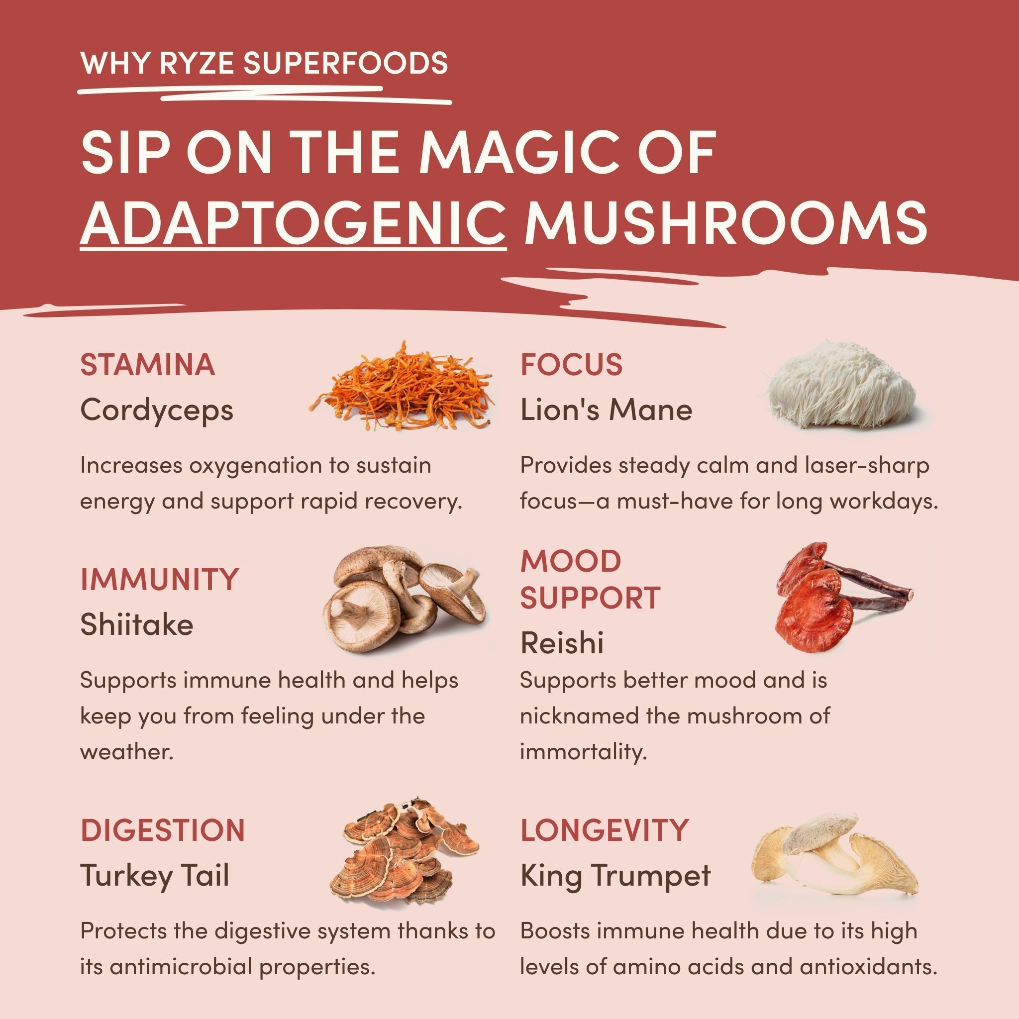Mushroom Chai (20 Servings) - Daily Energy