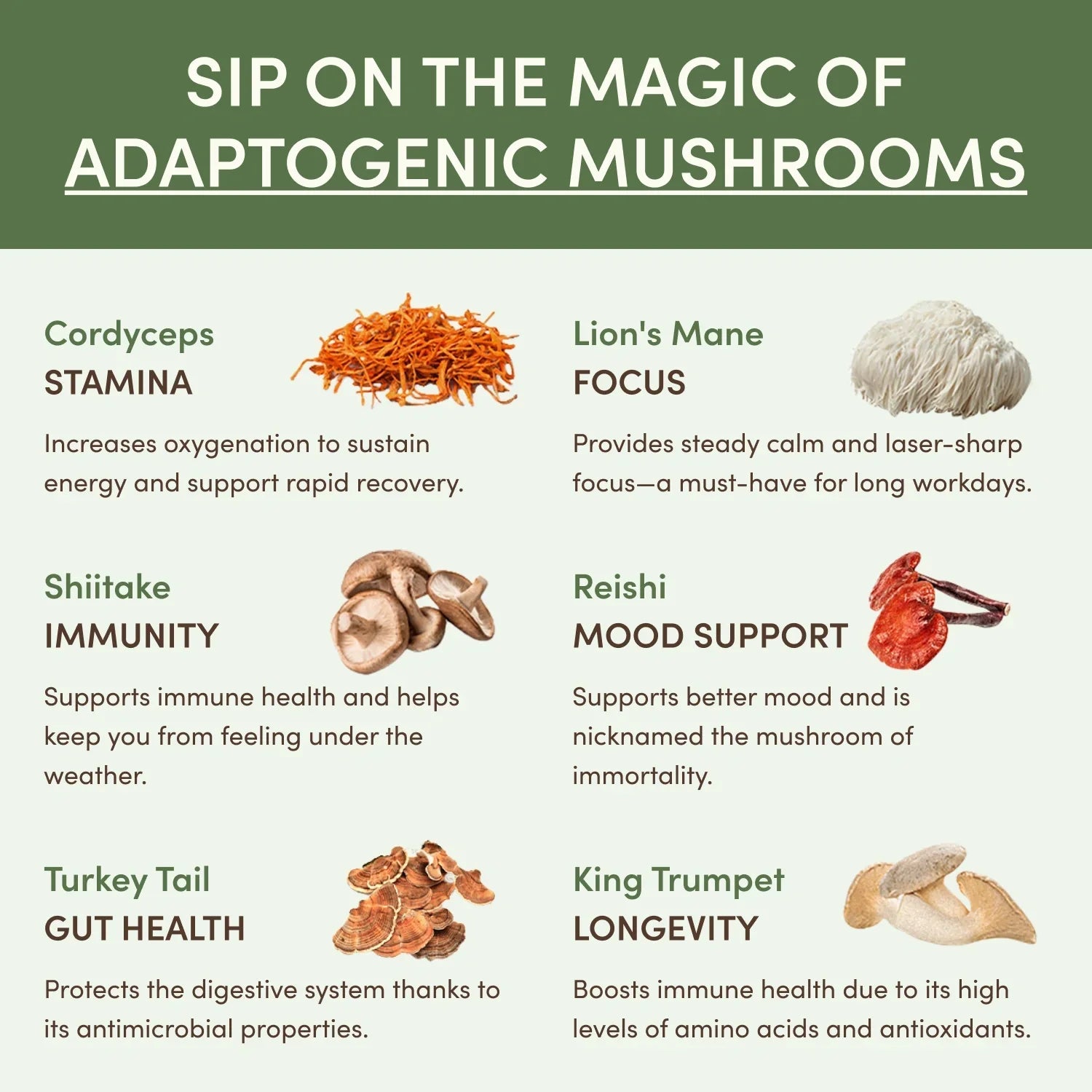 Mushroom Matcha (30 Servings) - Wellness Support