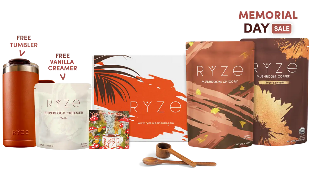 Lasting Energy Bundle (Chicory + Coffee) - Everyday Balance